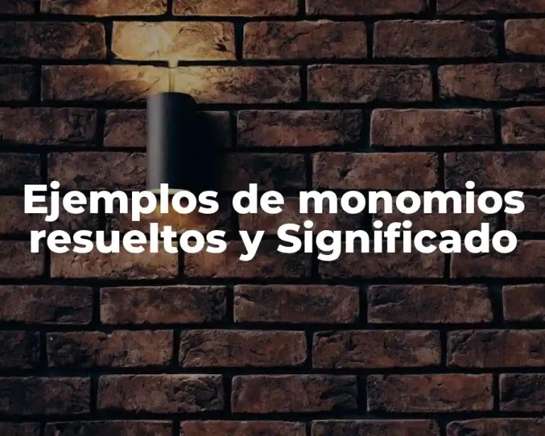 Ejemplos de monomios resueltos y Significado