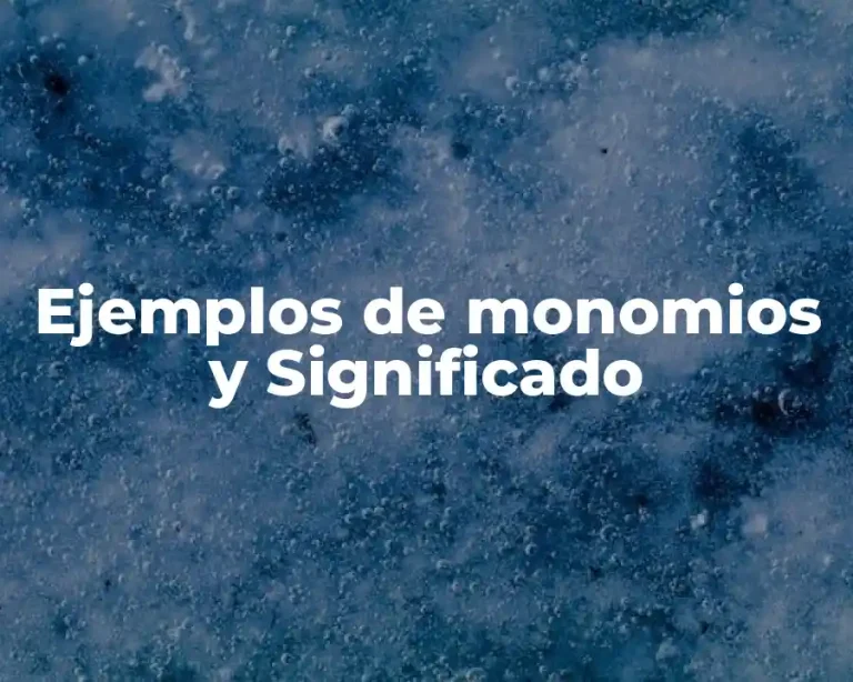 Ejemplos de monomios y Significado
