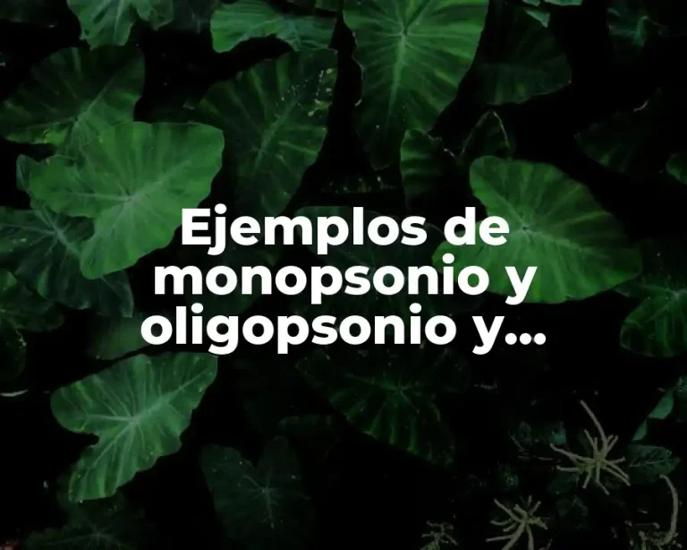 Ejemplos de monopsonio y oligopsonio y Significado