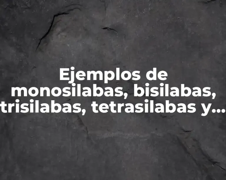 Ejemplos de monosilabas, bisilabas, trisilabas, tetrasilabas y polisilabas