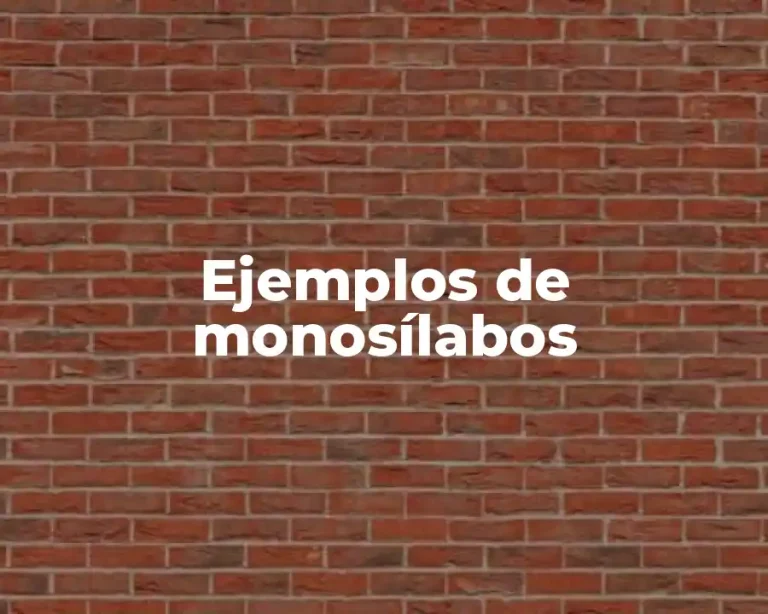 Ejemplos de monosílabos