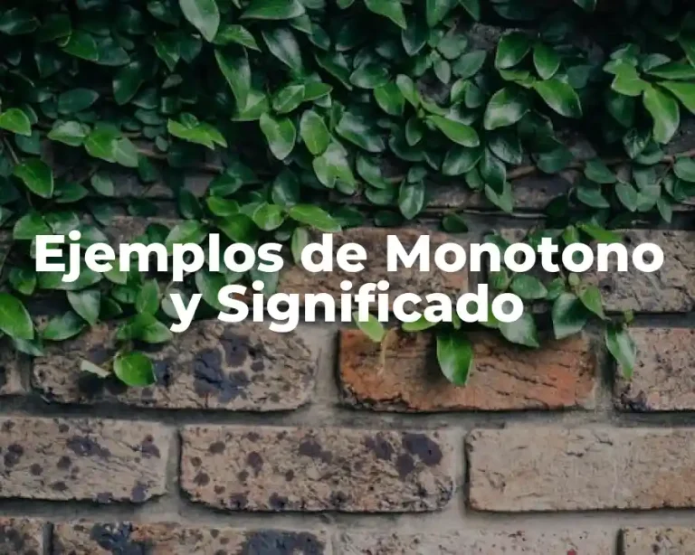 Ejemplos de Monotono y Significado