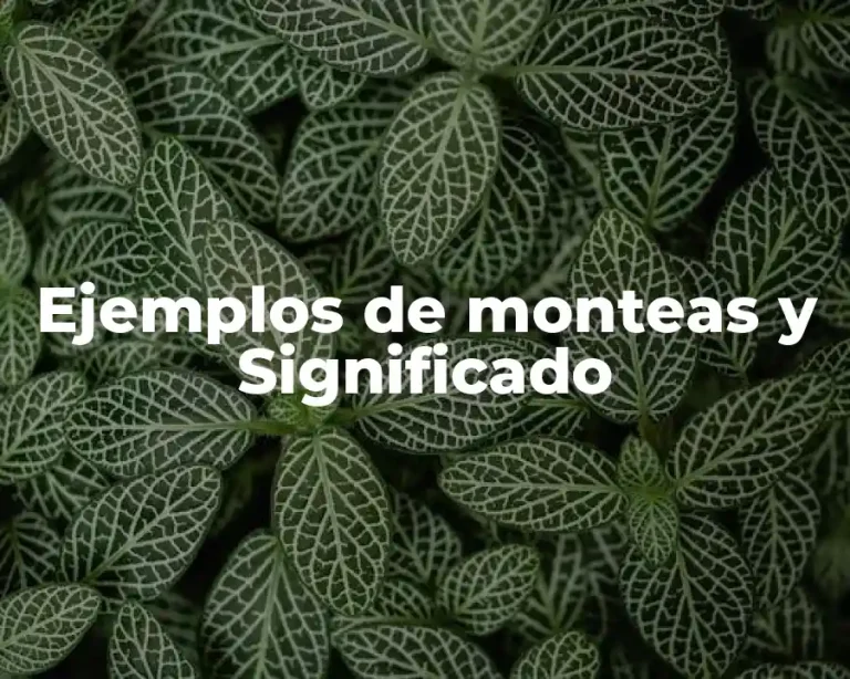 Ejemplos de monteas y Significado