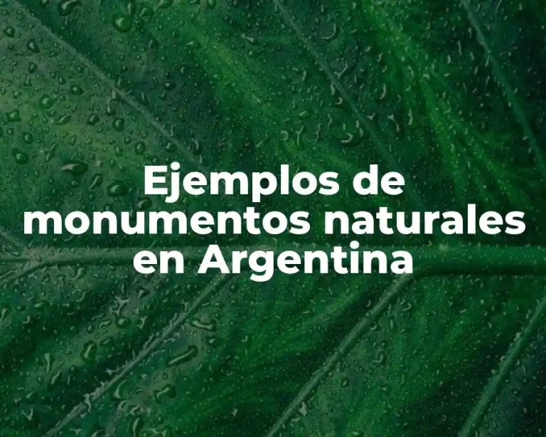 Ejemplos de monumentos naturales en Argentina