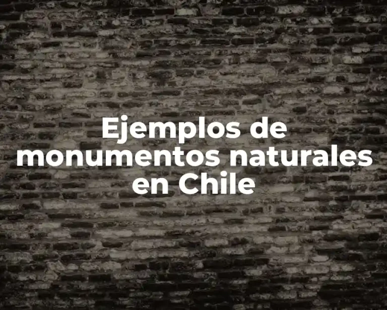 Ejemplos de monumentos naturales en Chile