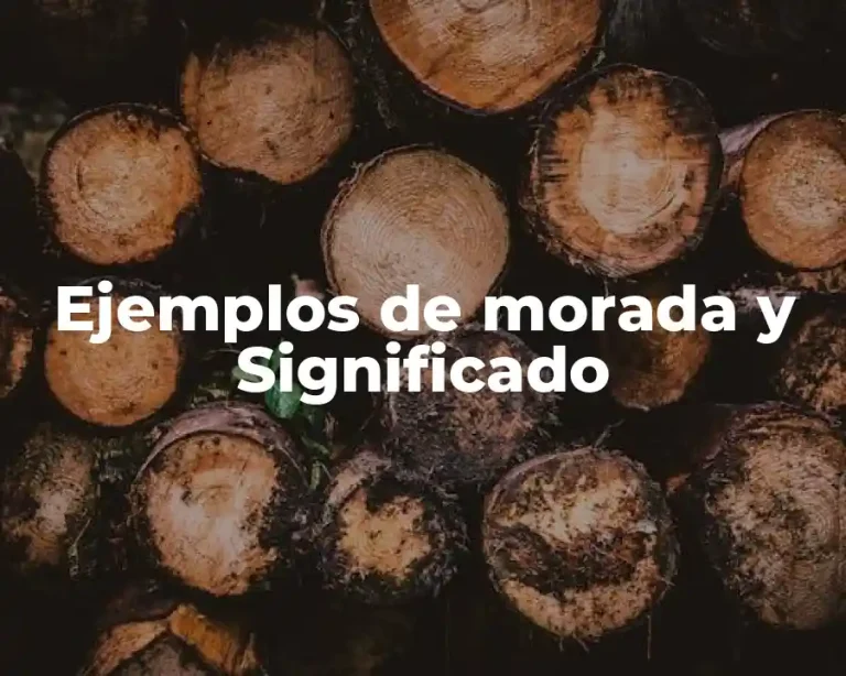 Ejemplos de morada y Significado