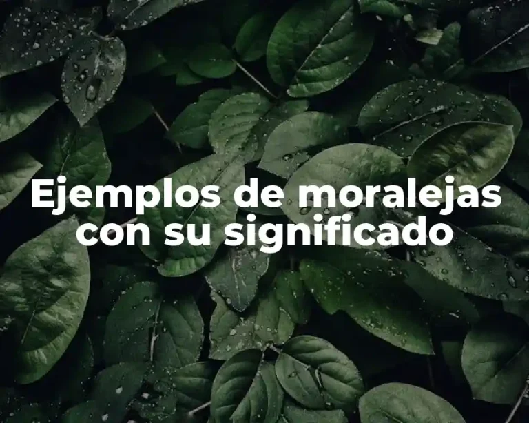 Ejemplos de moralejas con su significado