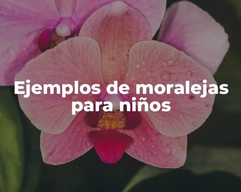 Ejemplos de moralejas para niños