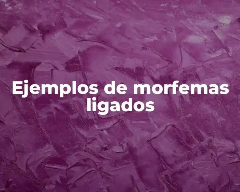 Ejemplos de morfemas ligados