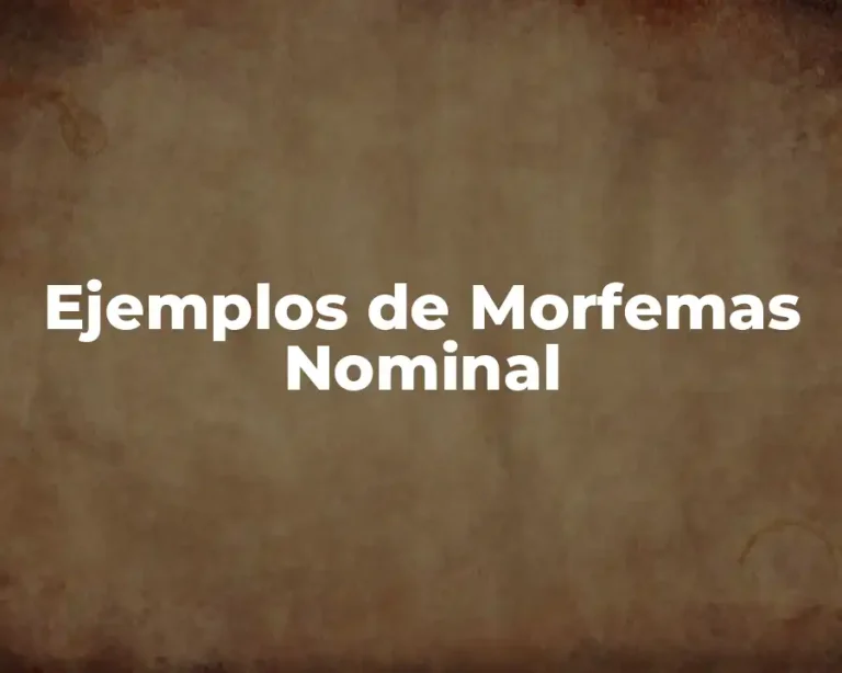 Ejemplos de Morfemas Nominal