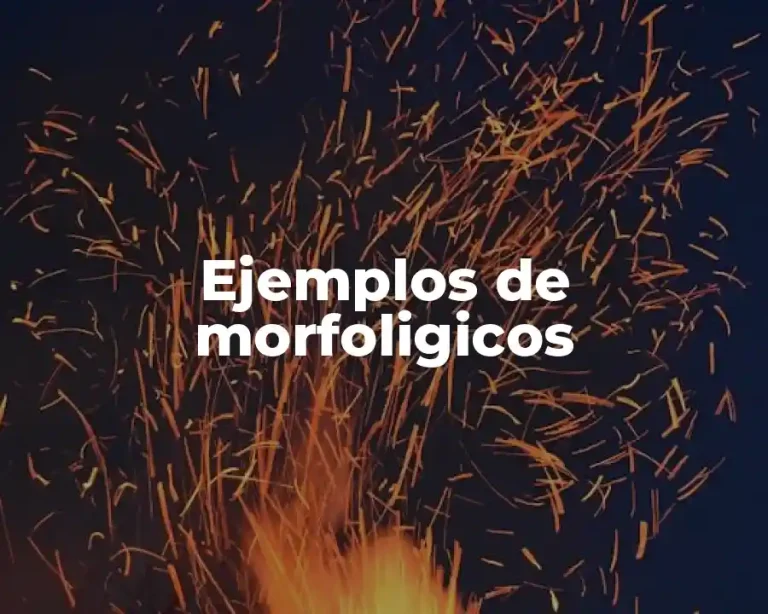Ejemplos de morfoligicos