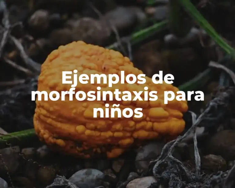 Ejemplos de morfosintaxis para niños
