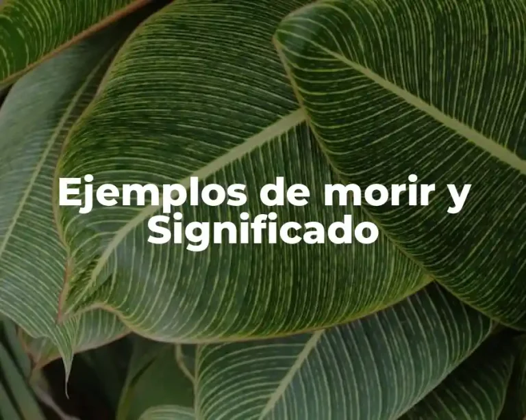 Ejemplos de morir y Significado