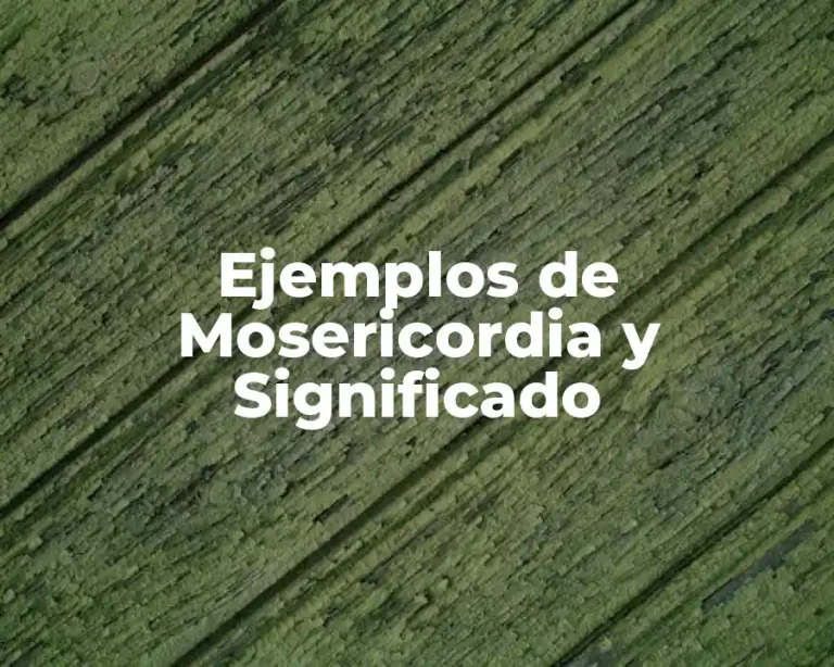 Ejemplos de Mosericordia y Significado