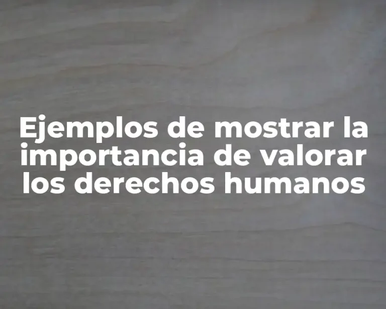 Ejemplos de mostrar la importancia de valorar los derechos humanos