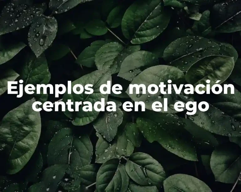 Ejemplos de motivación centrada en el ego