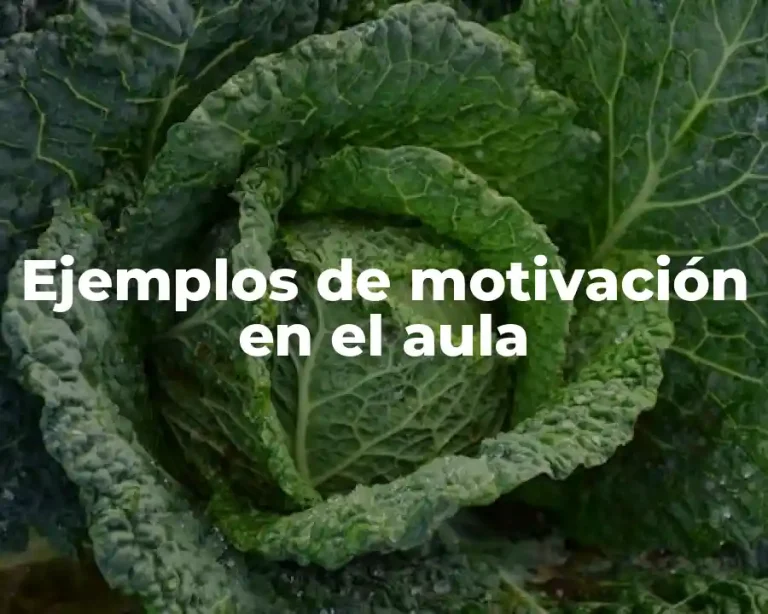 Ejemplos de motivación en el aula