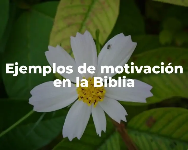 Ejemplos de motivación en la Biblia
