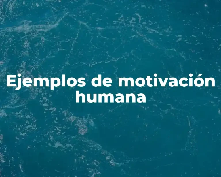 Ejemplos de motivación humana