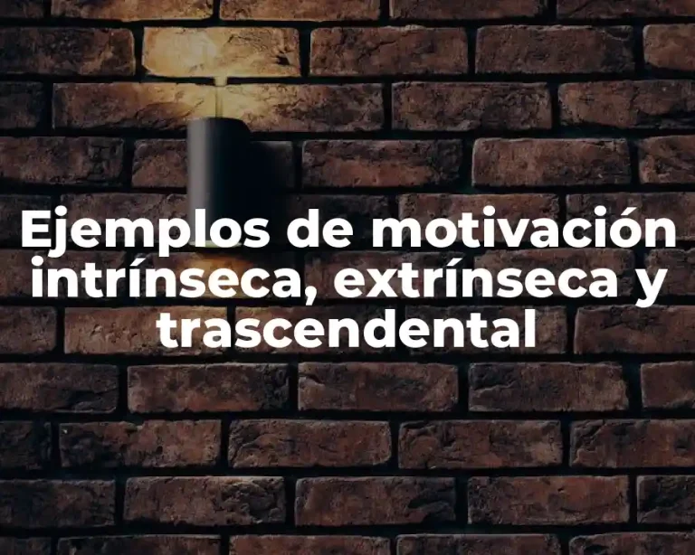 Ejemplos de motivación intrínseca, extrínseca y trascendental