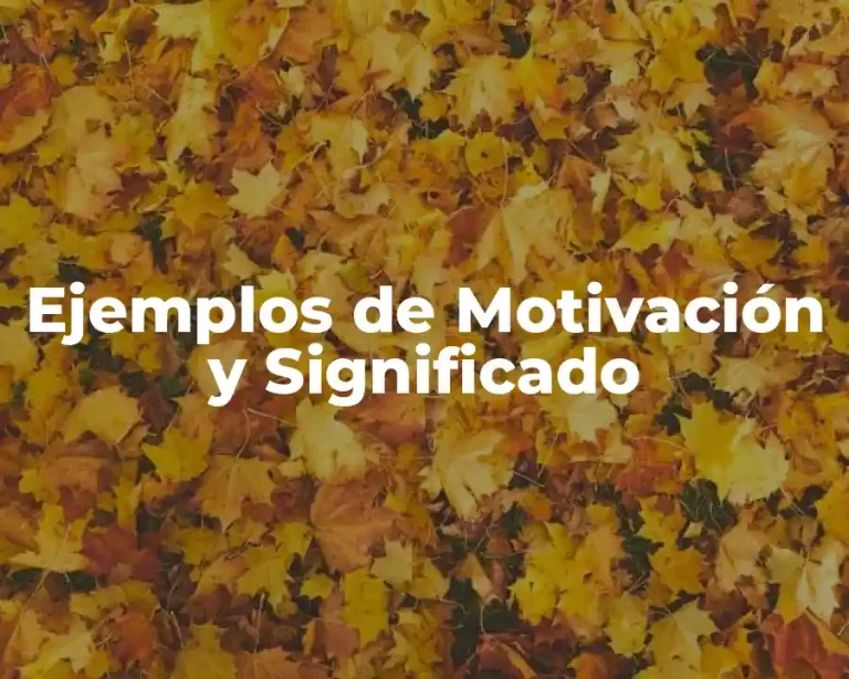 Ejemplos de Motivación y Significado
