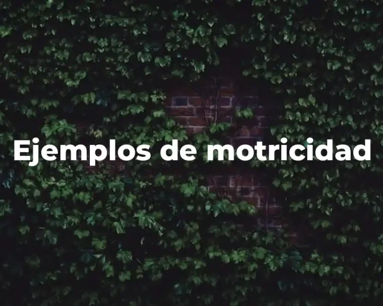 Ejemplos de motricidad