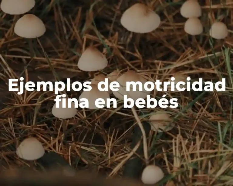Ejemplos de motricidad fina en bebés