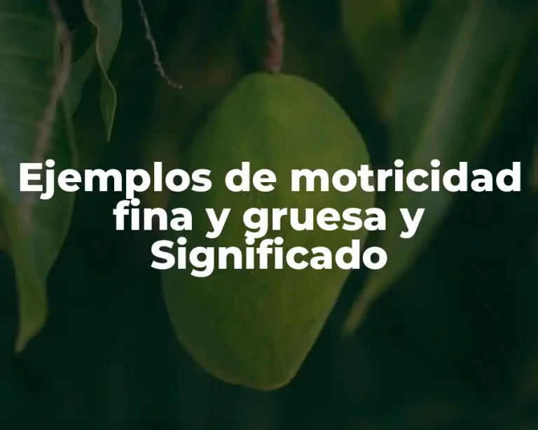 Ejemplos de motricidad fina y gruesa y Significado
