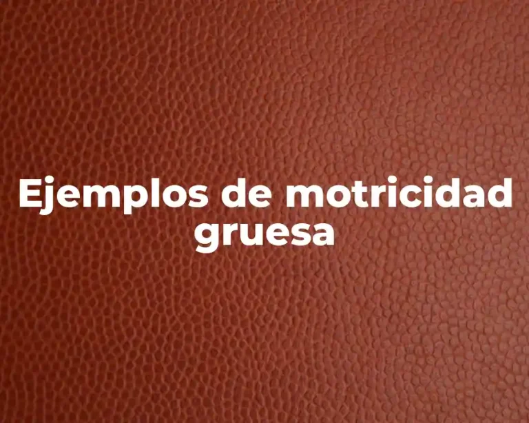 Ejemplos de motricidad gruesa