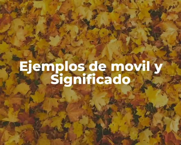 Ejemplos de movil y Significado
