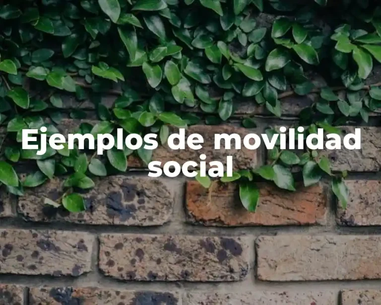 Ejemplos de movilidad social