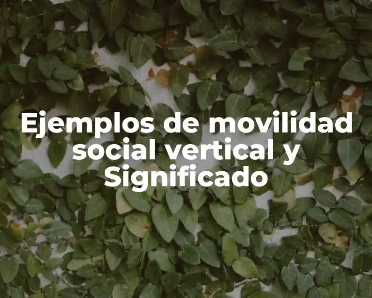 Ejemplos de movilidad social vertical y Significado