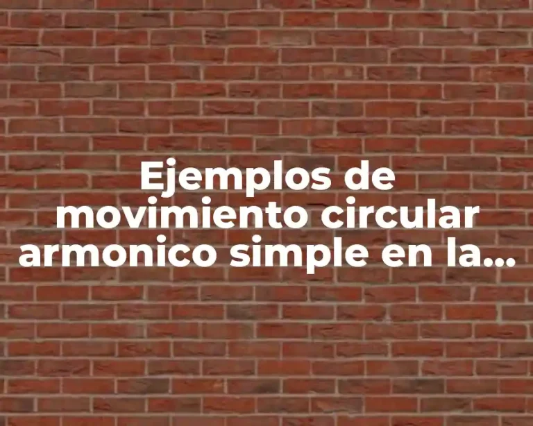 Ejemplos de movimiento circular armonico simple en la vida cotidiana