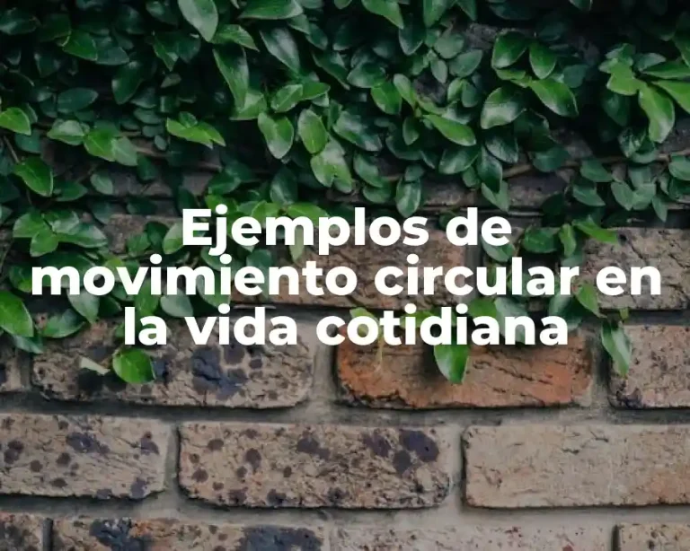 Ejemplos de movimiento circular en la vida cotidiana
