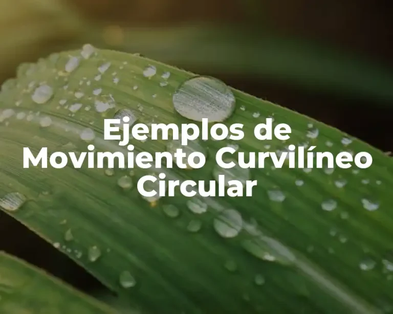 Ejemplos de Movimiento Curvilíneo Circular