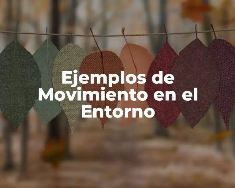 Ejemplos de Movimiento en el Entorno