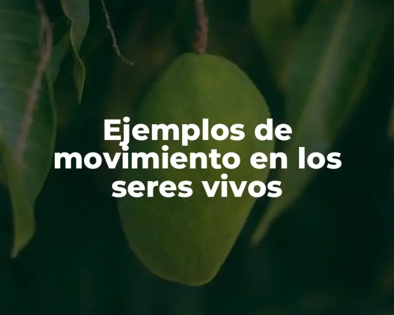 Ejemplos de movimiento en los seres vivos