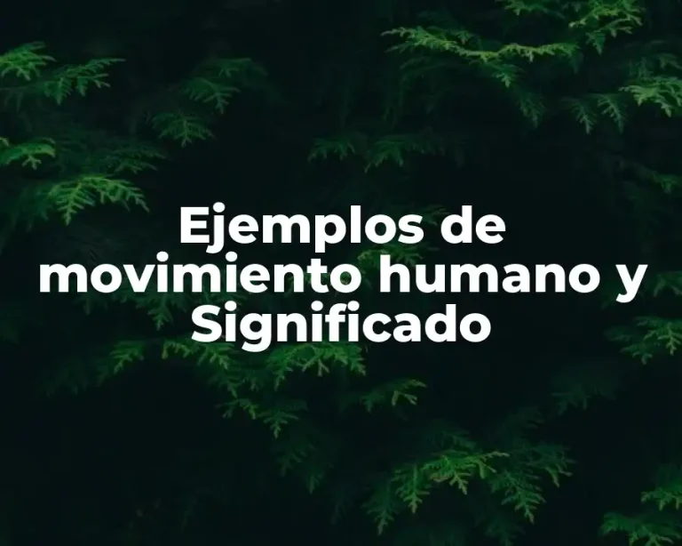 Ejemplos de movimiento humano y Significado