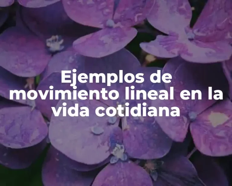 Ejemplos de movimiento lineal en la vida cotidiana