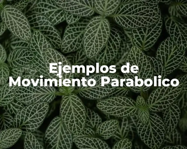 Ejemplos de Movimiento Parabolico