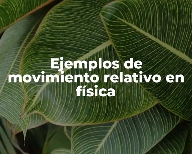 Ejemplos de movimiento relativo en física