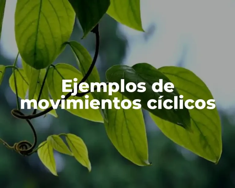 Ejemplos de movimientos cíclicos