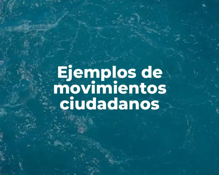 Ejemplos de movimientos ciudadanos