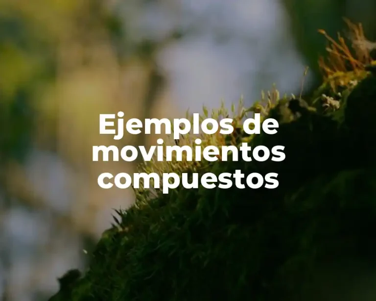 Ejemplos de movimientos compuestos