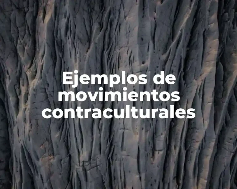 Ejemplos de movimientos contraculturales