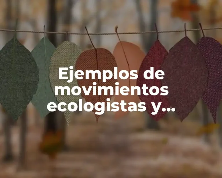 Ejemplos de movimientos ecologistas y Significado