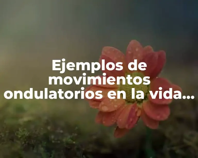 Ejemplos de movimientos ondulatorios en la vida cotidiana