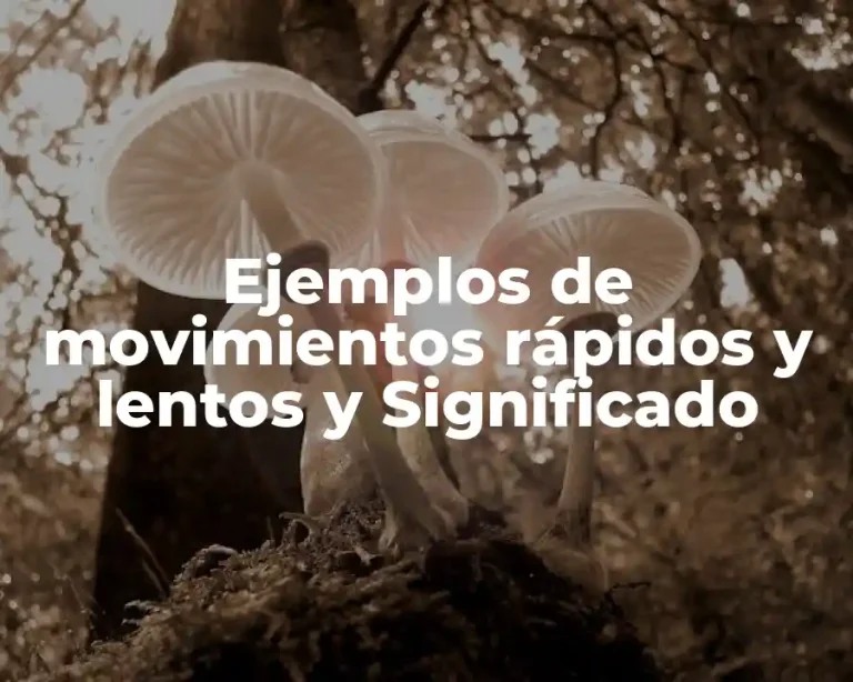 Ejemplos de movimientos rápidos y lentos y Significado