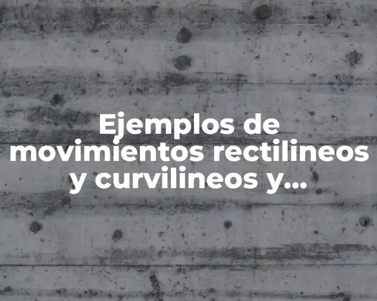 Ejemplos de movimientos rectilineos y curvilineos y Significado