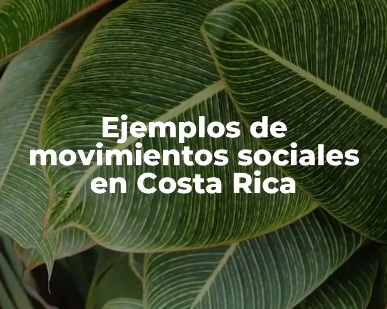 Ejemplos de movimientos sociales en Costa Rica